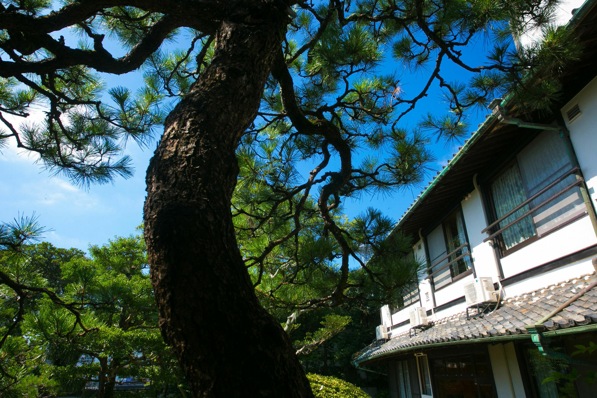 Ryokan Wataya Karacu Exteriér fotografie